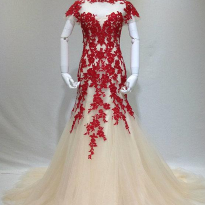 Elegant Light Champagne Tulle With Red Applique,..