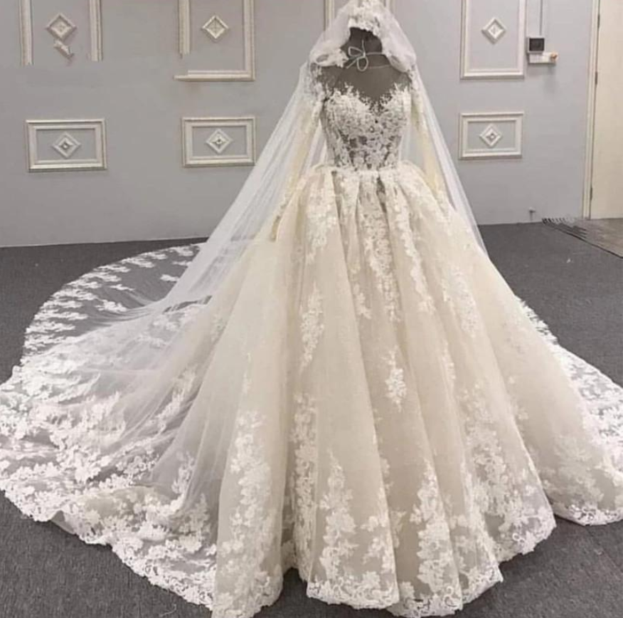 Sheer Neck Long Sleeves A Line Wedding Gowns Lace Appliques Plus Size Formal Bridal Party Dresses Robe De Novia