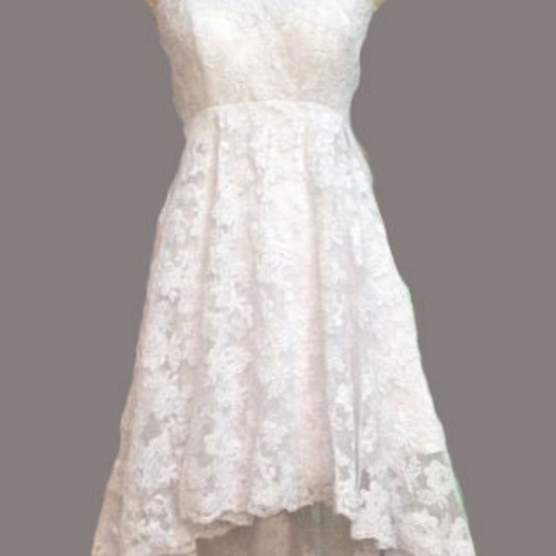 Pretty Lace Prom Dresses,Homecoming Dresses,High Low Short Prom Dresses ...