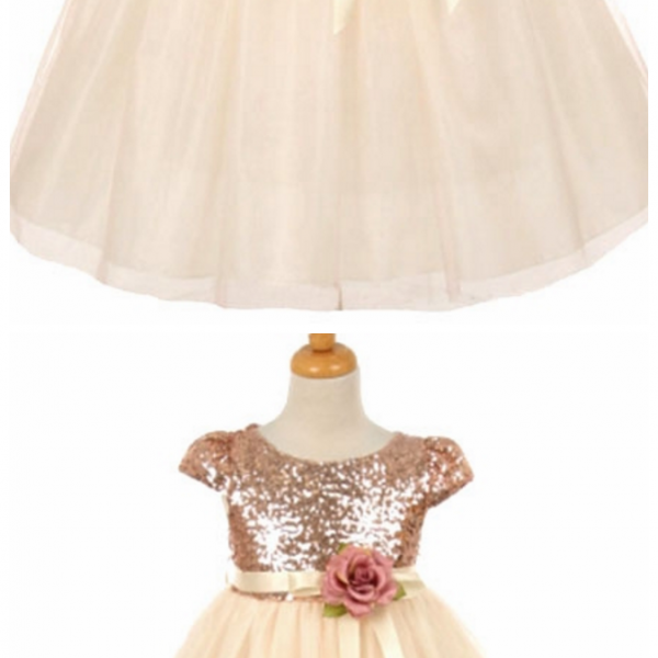 13881 Pink Sequins Tulle Dress