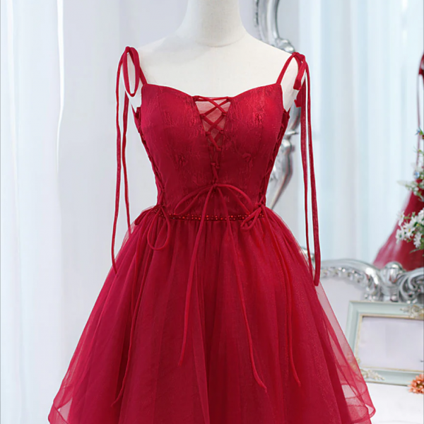 Lovely Tulle Round Neckline Lace Short Party Dress, Homecoming Dress